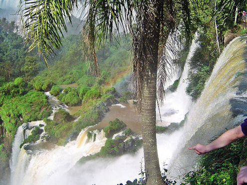 argentina brazil rainforest, iguazu falls