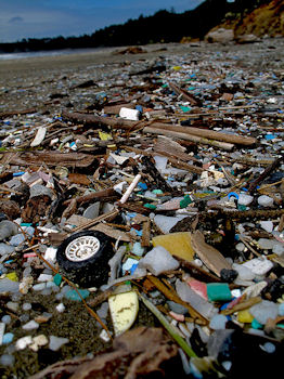 beach pollution oregon