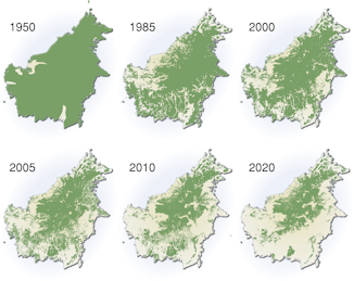 borneo deforestation, map