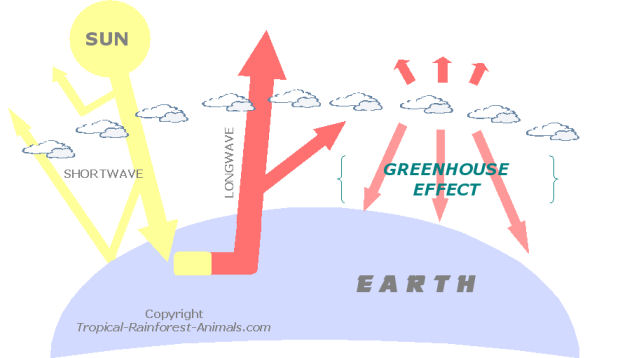 greenhouse effect, global warming