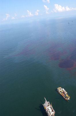 gulf oil pollution, 2010