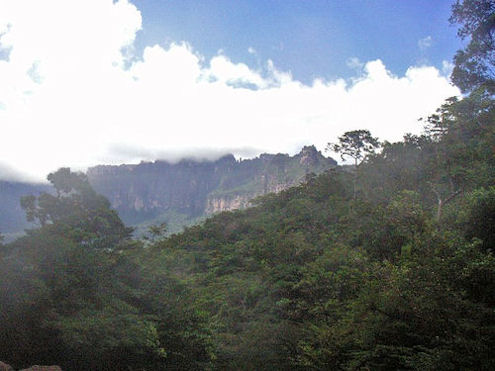 venezuela rainforest, canaima, amazon